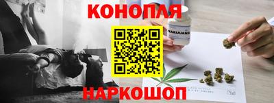 прущие грибы Заводоуковск