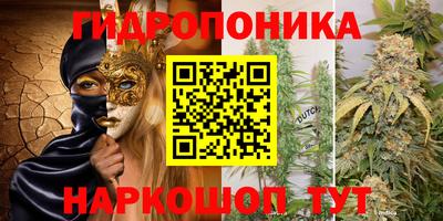 бошки Дубна
