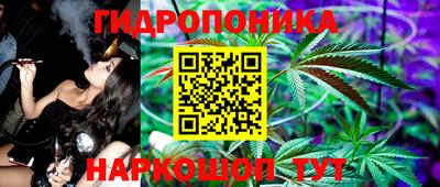 прущие грибы Заводоуковск