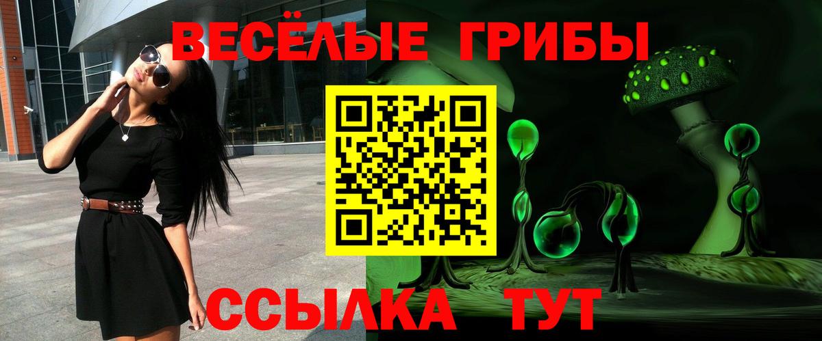 Галлюциногенные грибы Psilocybine cubensis  Вход с VPN  Лесной 